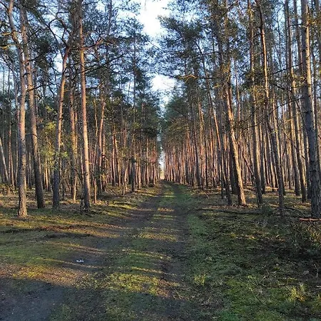 Appartamento Bolschwitz 39 Calau Esterno foto